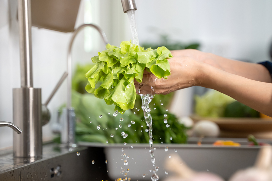 Person washing fresh lettuce in industrial sink.